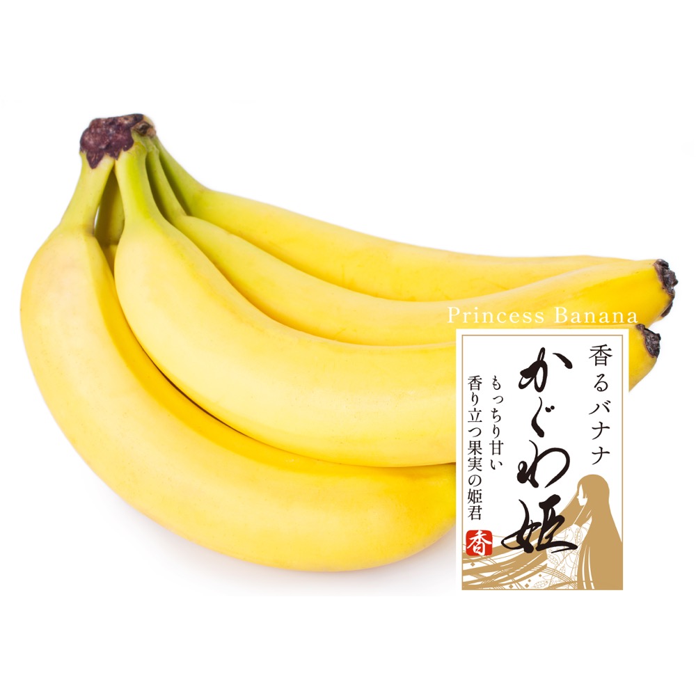※譲り先決定※【バナナミュージアム】 バナナ – 日興フーズ株式会社