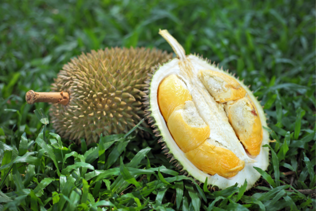 果物の王様「ドリアン」は美味しいの？気になる味と匂い、美味しい食べ