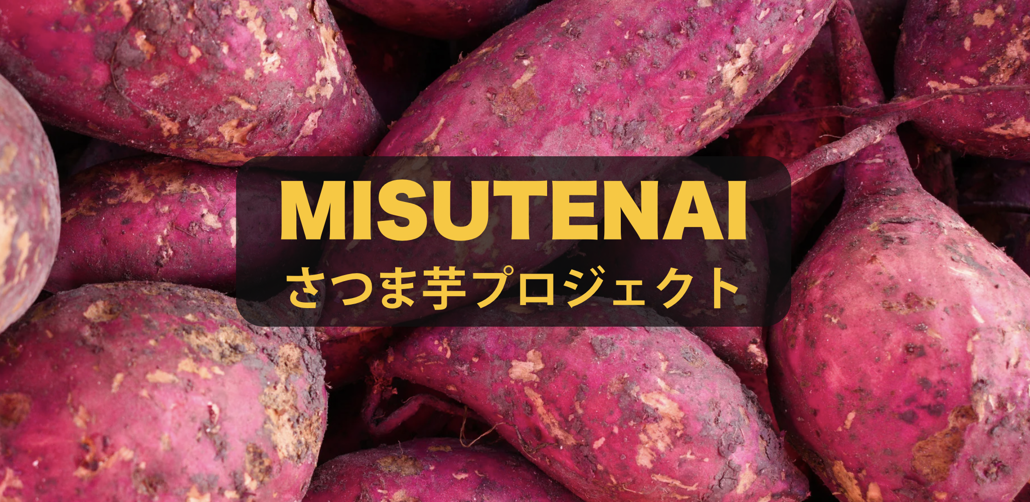 MISUTENAIさつま芋プロジェクトが始動！ - 日興フーズ株式会社